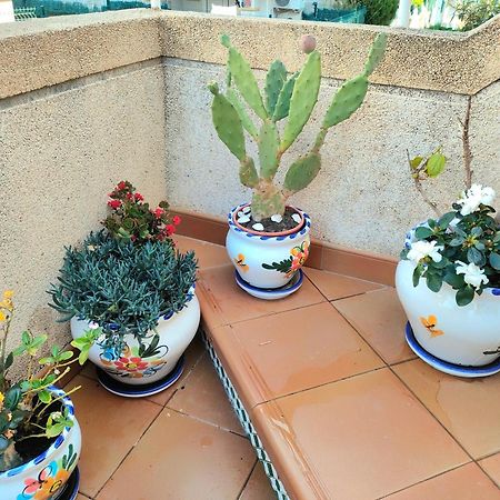Casa De Buenos Dias Lägenhet Torrevieja Exteriör bild
