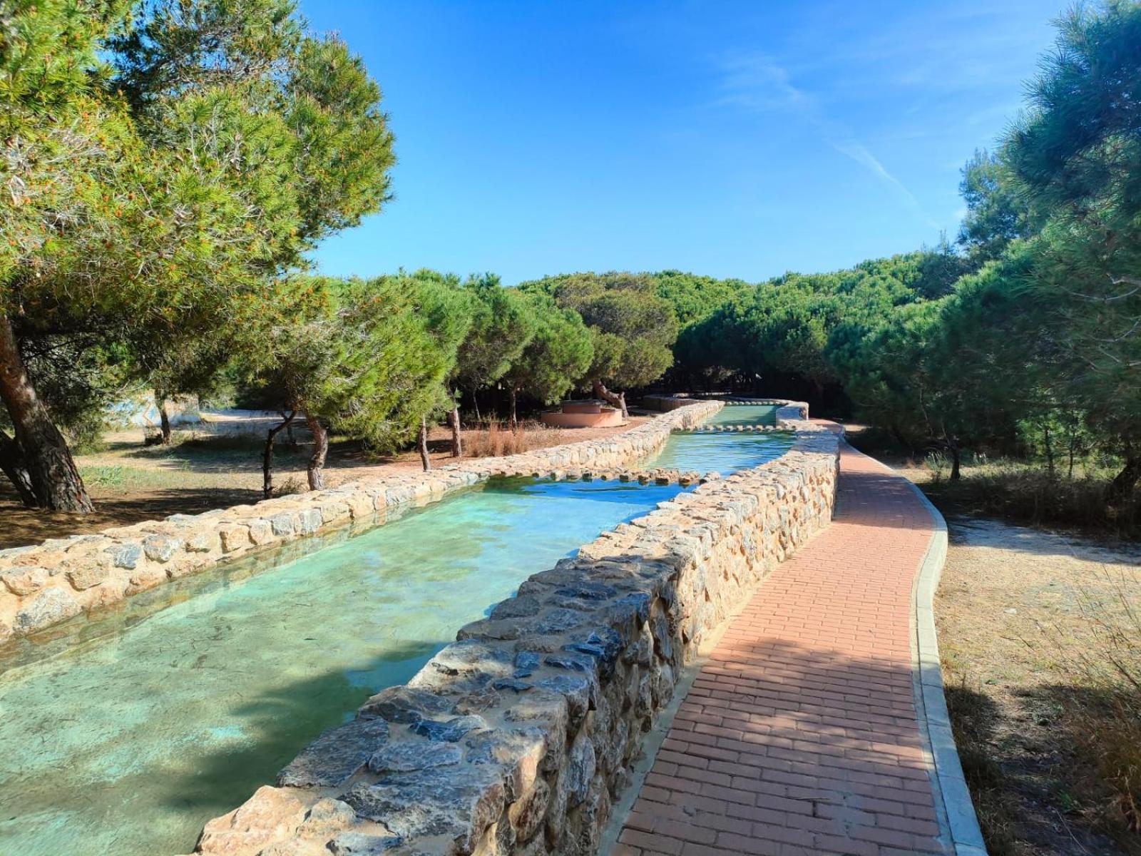 Casa De Buenos Dias Lägenhet Torrevieja Exteriör bild