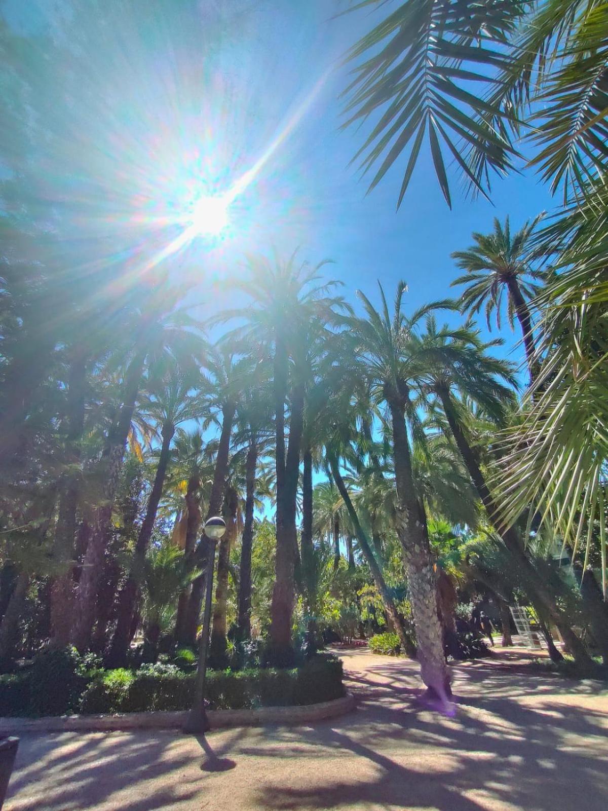 Casa De Buenos Dias Lägenhet Torrevieja Exteriör bild