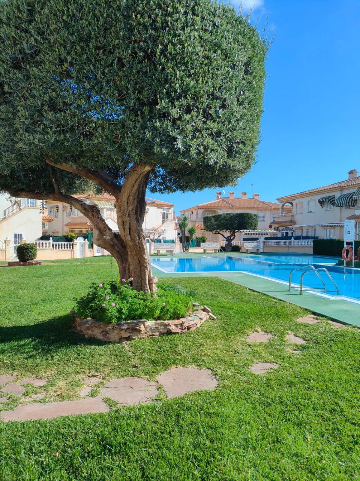 Casa De Buenos Dias Lägenhet Torrevieja Exteriör bild